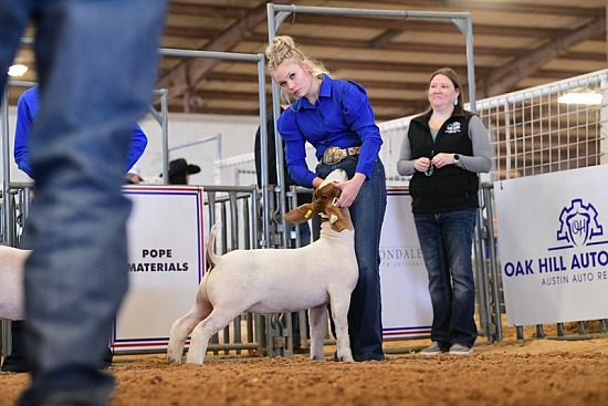 2023 Travis County Youth Show