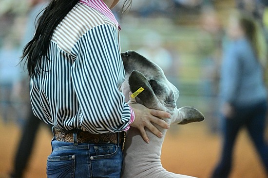 2023 Texoma Expo & Livestock Show