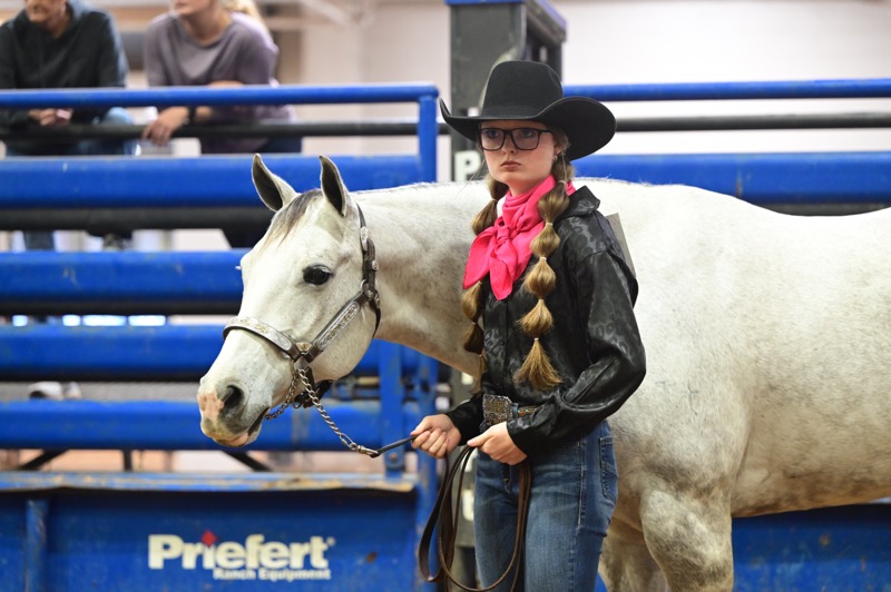 2024 Bell County Youth Fair & Livestock Show 2024 Shows We Know