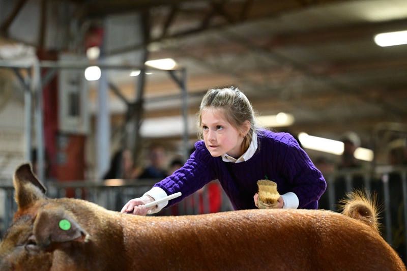 2024 Denton County Youth Fair 2024 Shows We Know Livestock